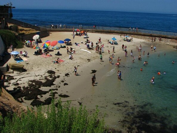 1.5 Hour Walking Tour from La Jolla in San Diego - Key points worth knowing