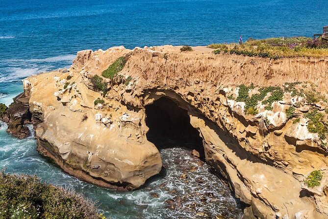 1.5 Hour Walking Tour from La Jolla in San Diego - A 90-minute La Jolla walk with built-in stops