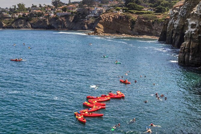 1.5 Hour Walking Tour from La Jolla in San Diego - Sea Caves from the land: what you’ll learn (and what’s optional)