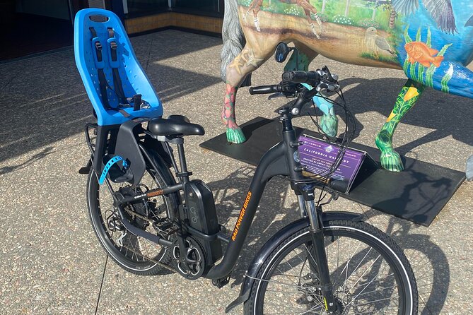 1 Day Electric Bike Rental in Solana Beach - Your likely stops: Meditation Gardens in Encinitas, Leucadia Pizzeria, and Cedros Avenue coffee