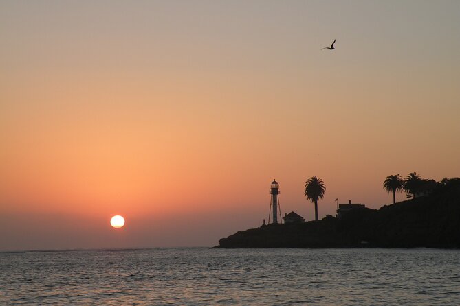 2.5-Hour Small-Group Catamaran Sunset Sail with Drinks - Stop 3: Point Loma, Sea Lions, and That Evening Air