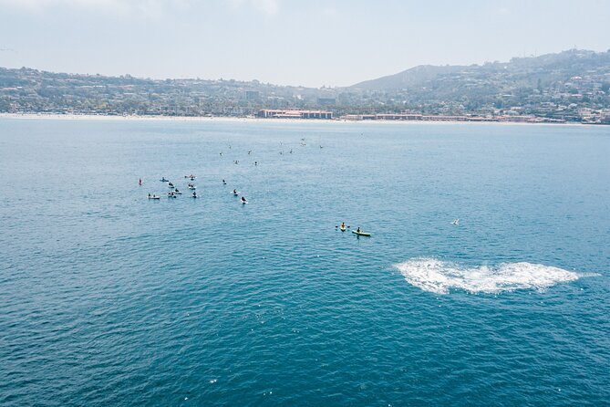 2 Hour Whale Watching Kayak Tour for Two - Launch Point: why kayaking off La Jolla feels different