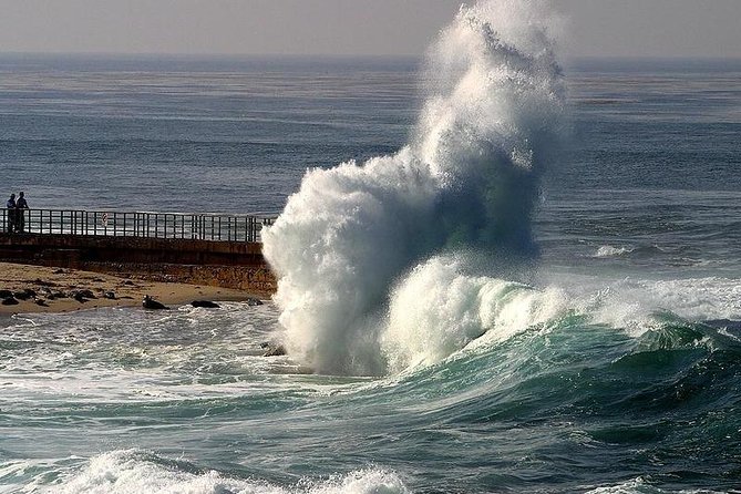 A Local’s Guide to La Jolla’s Sights: A Self-Guided Urban Stroll - Children’s Pool and Scripps Park: where the stories feel personal