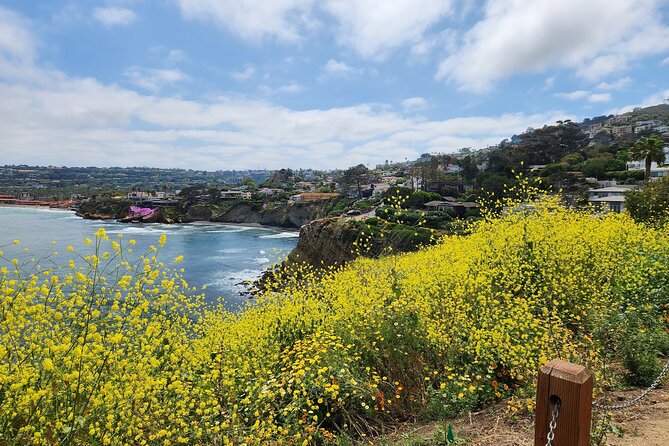 A Seaside Stroll: La Jolla's Hidden Treasures Self-Guided Tour - Children’s Pool, plus La Valencia Hotel and the art world break