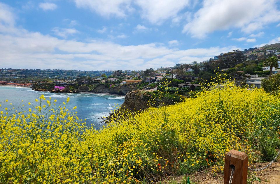 A Seaside Stroll: La Jolla's Hidden Treasures Walking Tour - Village Time: Art Galleries and Restaurant Ideas