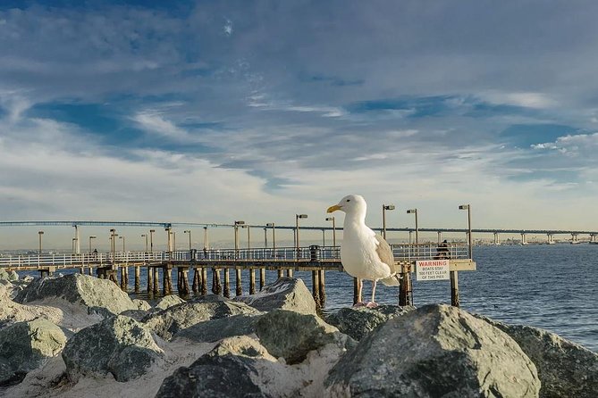All Day San Diego Scenic Tour - Coronado Island and Hotel Del Coronado area views
