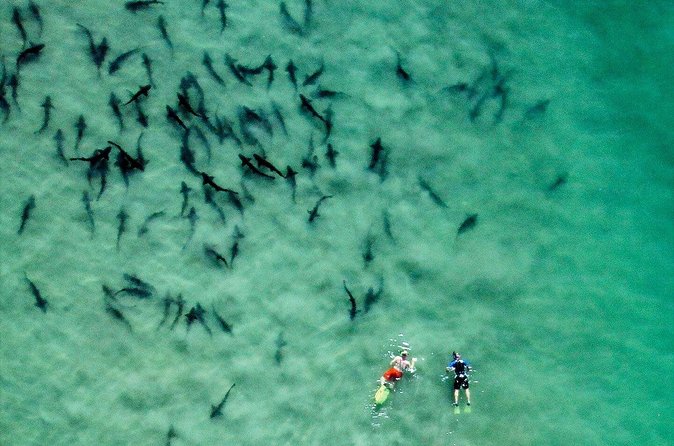 All Day Snorkel Package with Wetsuit Rental - Waves, lifeguards, and that important safety reality