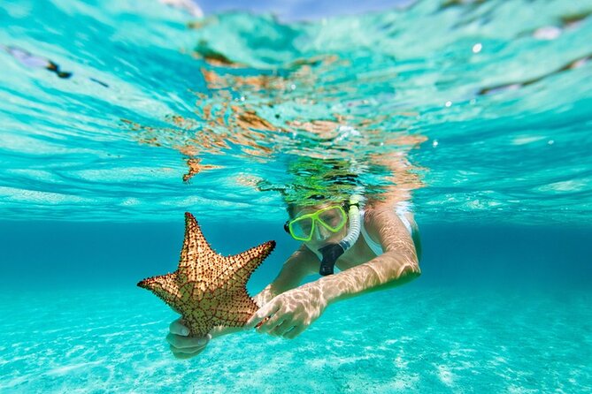 All Day Snorkel Package with Wetsuit Rental - What the all-day package actually gives you (and why it’s smart)