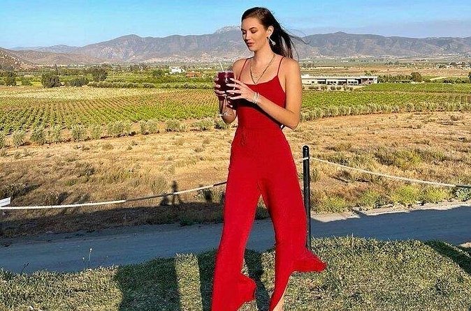 All-Inclusive Private Wine Tour in Baja - Valle de Guadalupe: The Two-Tasting Plan That Keeps You Moving