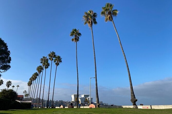 Beach Yoga in San Diego - How the class adapts for beginners (and couples)