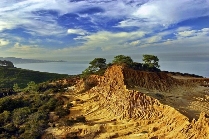 Beaches & Bluffs San Diego's Ultimate Coastal Driving Tour - Price and logistics: why this tour fits a real schedule