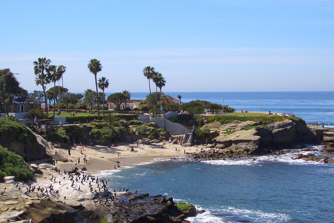Beaches & Bluffs San Diego's Ultimate Coastal Driving Tour - La Jolla stretch: Birch Aquarium pass-by, then Shores and Cove