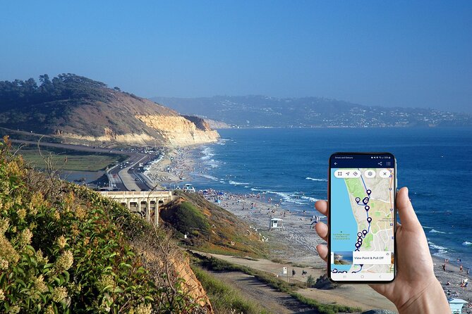 Beaches & Bluffs San Diego's Ultimate Coastal Driving Tour - Stop-by-stop: Torrey Pines State Beach to Natural Reserve