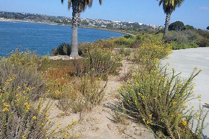Bike Around San Diego Bay to the Ocean - Price and Value: Is $140 a Good Deal?