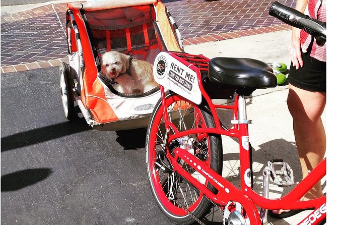 Carlsbad 3-Hour Electric Bike Rental - Safety and comfort tips for a smoother 3 hours