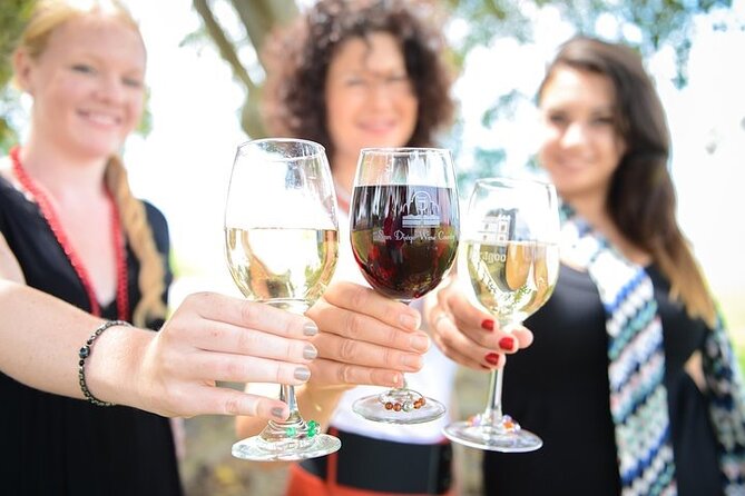 Chauffeured Adventure to Local San Diego Vineyards - Key things to know