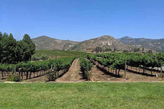Chauffeured Adventure to Local San Diego Vineyards - Six Hours of San Diego Wine Without the Driving Stress