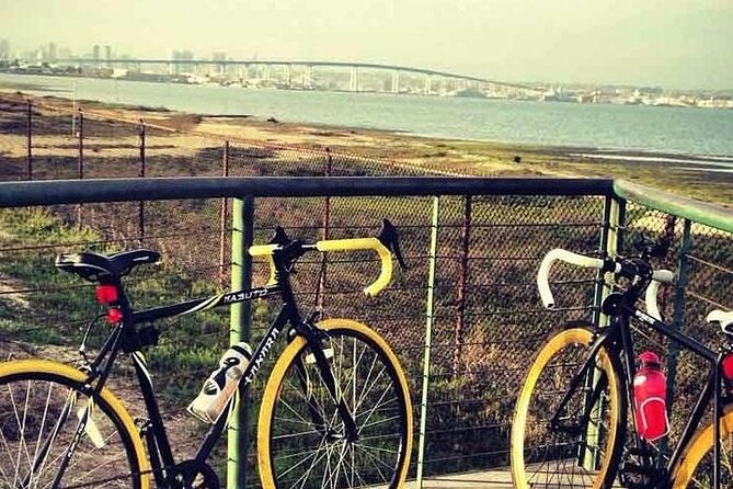eBike Tours on Coronado - Should You Book This Coronado eBike Tour?