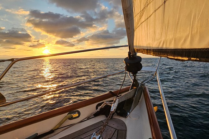 Experience Oceanside Sailing with Whales and dolphins! - Key Things I’d Highlight Before You Go