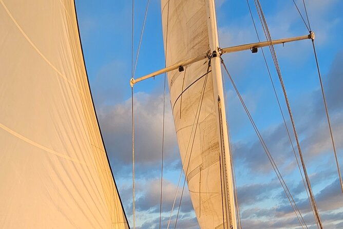 Experience Oceanside Sailing with Whales and dolphins! - Meeting at Oceanside Harbor: What the First Minutes Feel Like
