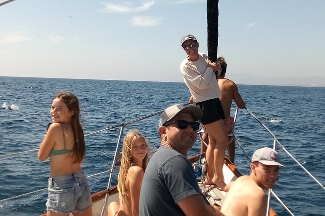 Experience Oceanside Sailing with Whales and dolphins! - Wildlife Spotting: How Whales, Dolphins, and Birds Fit Into Real-Time Sailing