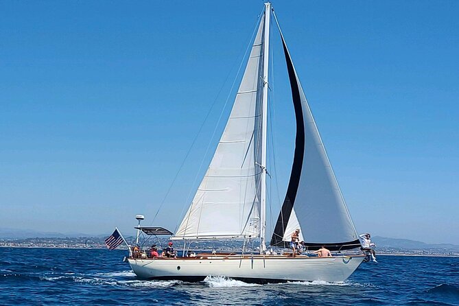 Experience Oceanside Sailing with Whales and dolphins! - Timing, Wind, and Your Chances: Making the Most of the 2 Hours