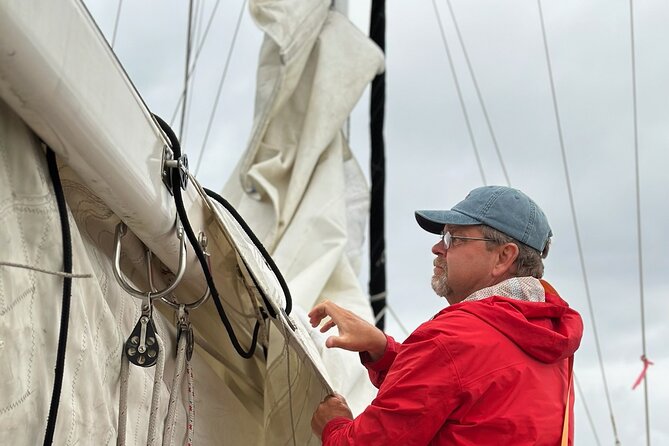Experience Oceanside Sailing with Whales and dolphins! - Price and Value: Is $130 Per Person Worth It?