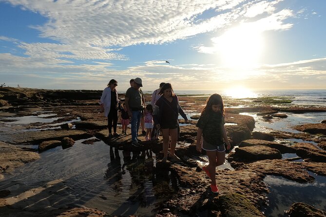 Explore San Diego Tide Pools with a Marine Biologist - Key highlights you will care about