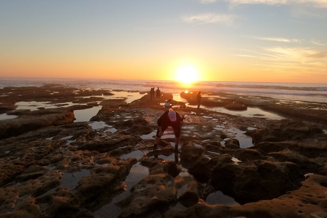 Explore San Diego Tide Pools with a Marine Biologist - Where the La Jolla tide pool tour actually starts