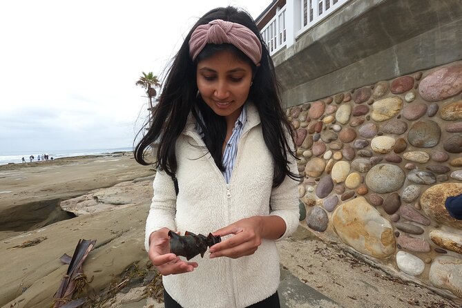 Explore San Diego Tide Pools with a Marine Biologist - Conservation biology in plain talk: adaptations you’ll recognize later