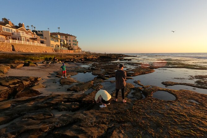 Explore San Diego Tide Pools with a Marine Biologist - What to wear on wet rock: the biggest success factor
