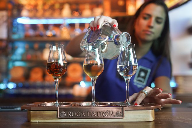 Gaslamp Quarter Food and Drink Tour: Brothels, Bites & Booze - Timing, size, and the feeling of a night out