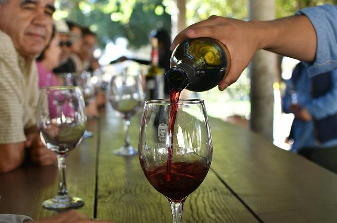 Grand Mexico Wine Country Tour from San Diego - Key things to know before you go