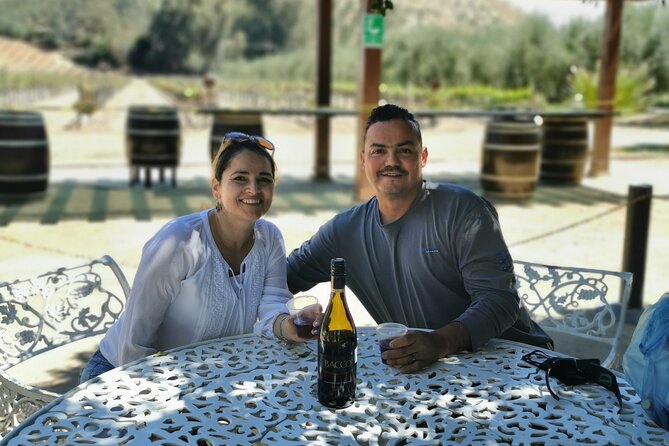 Grand Mexico Wine Country Tour from San Diego - Price and value: what you’re paying for at $323