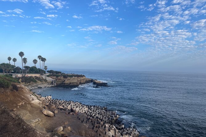 Guided Historic La Jolla Village Walking Tour - Historic La Jolla on Foot: From American Indians to Today