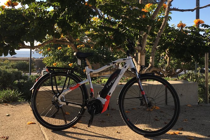 Half Day Performance eBike Rental - Group Size and Pace: Freedom Without Chaos