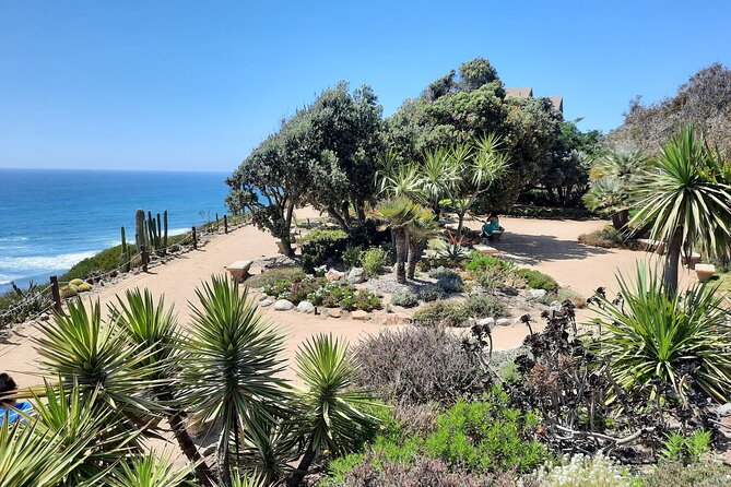 Half Day Self Guided Electric Bike Tour of North San Diego Coast - Starting in Solana Beach: where you meet and what to expect first