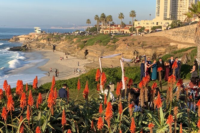Historic La Jolla Walking Tour - La Jolla Cove: caves, sea lions, and a big-sky pause