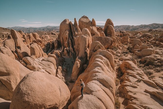 Joshua Tree NP Tour from San Diego (Private) - The Drive From San Diego: Time Crunch vs. Convenience