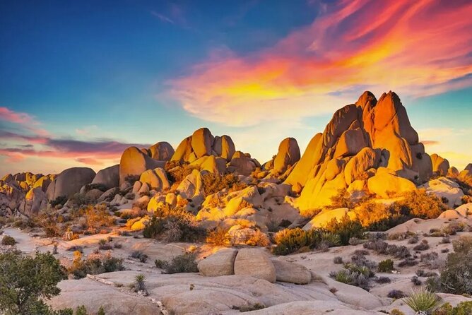 Joshua Tree NP Tour from San Diego (Private) - Price and Value: Is $985 Worth It?