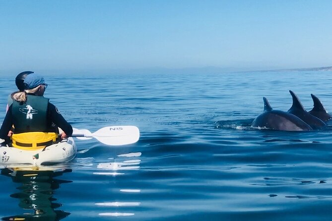 Kayak Rental for Two People in La Jolla - The 90-Minute Paddle: What Your Time on the Water Is Really Like