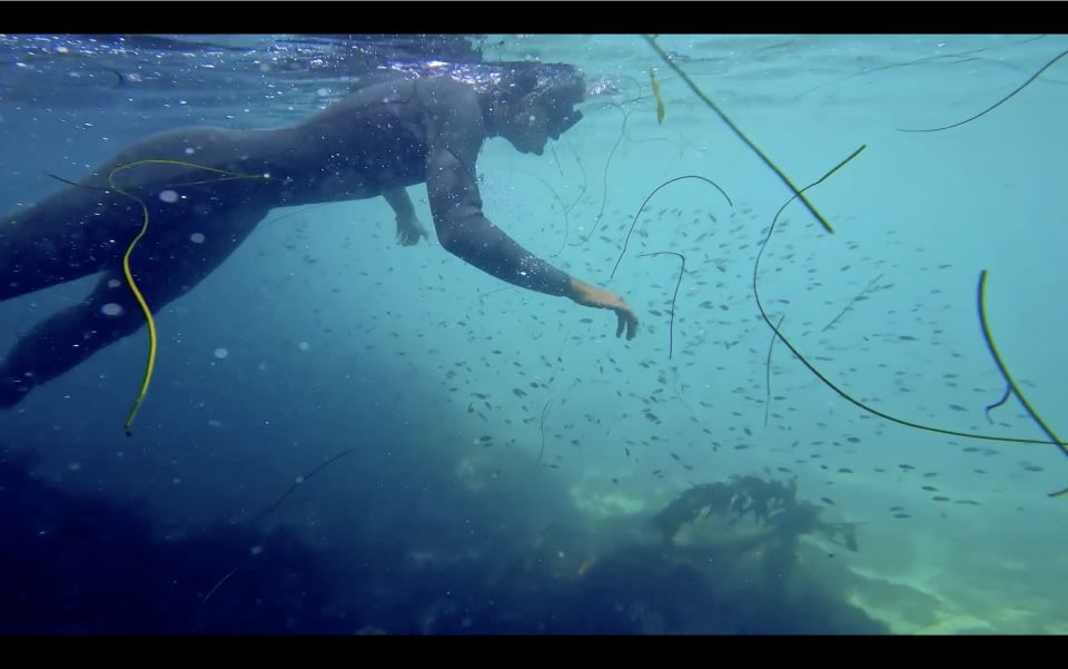 La Jolla: 2.5-Hour Kayak and Snorkel Tour - Snorkeling at two hotspots: reef first, then sandy flats