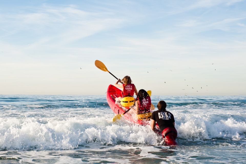 La Jolla: 2-Hour Kayak Tour of the 7 Caves - Key Highlights You’ll Actually Feel on the Water
