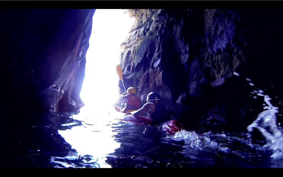 La Jolla: 2-Hour Kayak Tour of the 7 Caves - La Jolla Ecological Reserve: what you’ll see before you launch