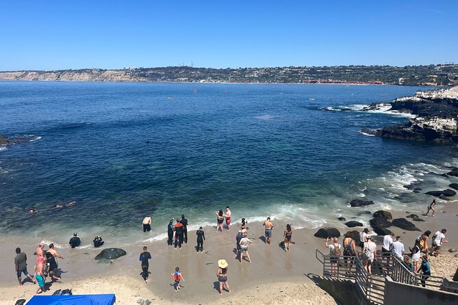 La Jolla E-Scooter Tour with Photos Included - Price, included gear, and value at $79