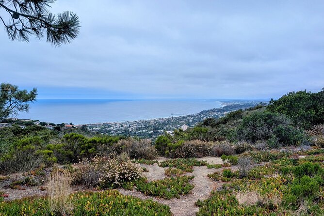 La Jolla Electric Bike Tour - Route Breakdown Part 1: La Jolla Cove and Children’s Pool
