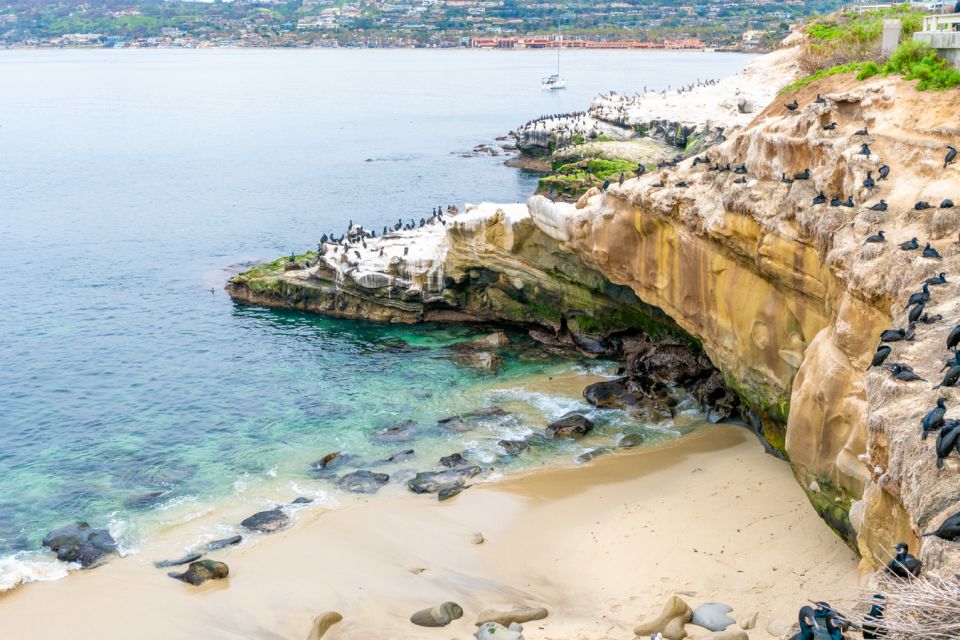 La Jolla Food & Drink Walking Tour - Sip, Savor & Sea - The tasting route: how the stops build toward a full meal