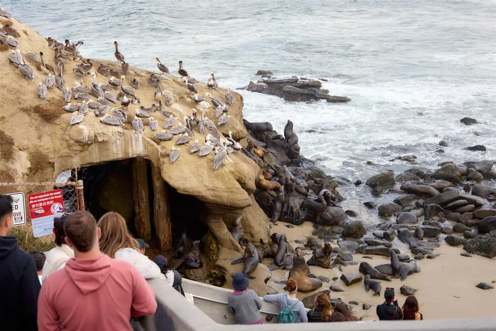 La Jolla Food & Drink Walking Tour - Sip, Savor & Sea - Price check: is $125 good value for 3 hours?