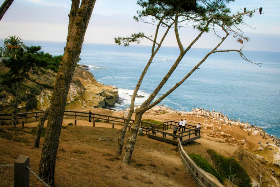 La Jolla Free fall Electric Bike Tour - Key highlights you’ll actually care about
