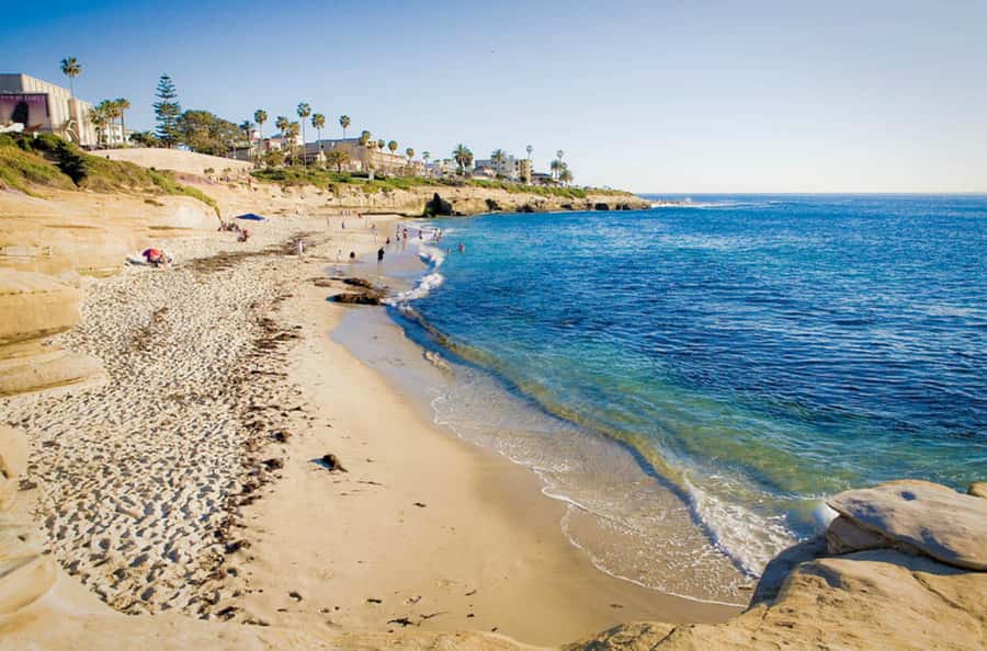 La Jolla Free fall Electric Bike Tour - Mt. Soledad’s 360-degree view is the real warm-up